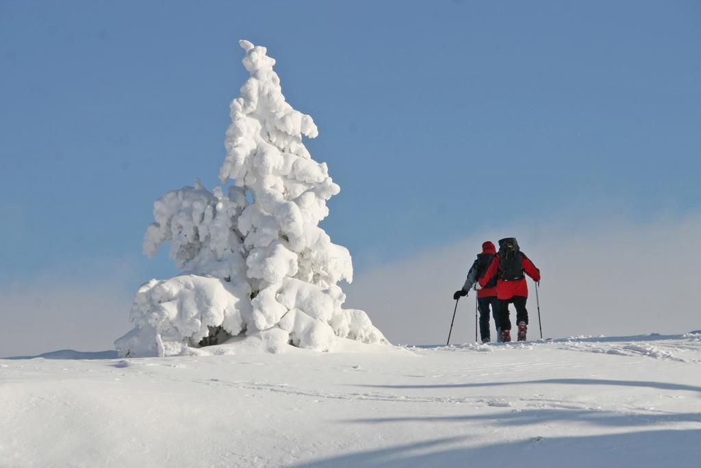Ferienhuetten Zimmermann Holiday home Spital am Semmering